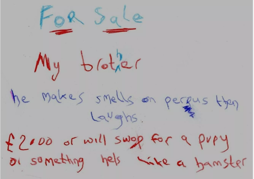 Funny Brother Birthday Card