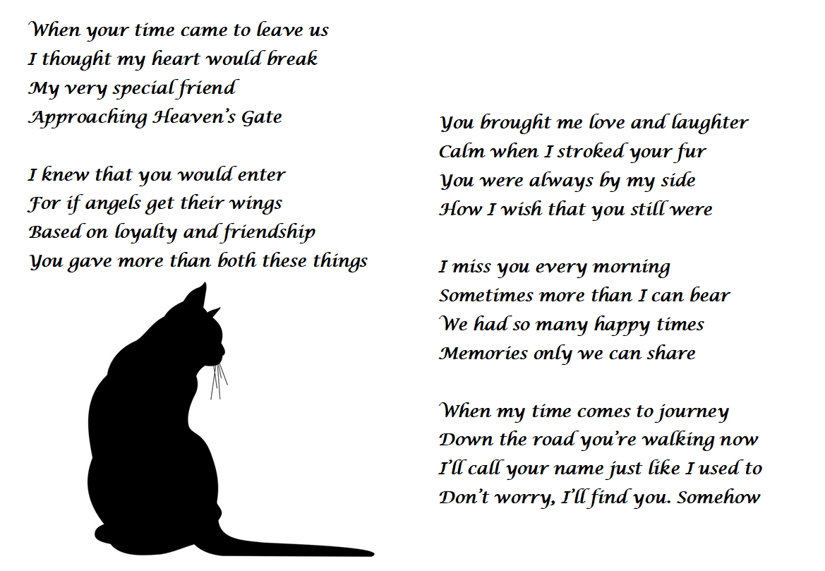 Cat Bereavement - Cat Lover Card