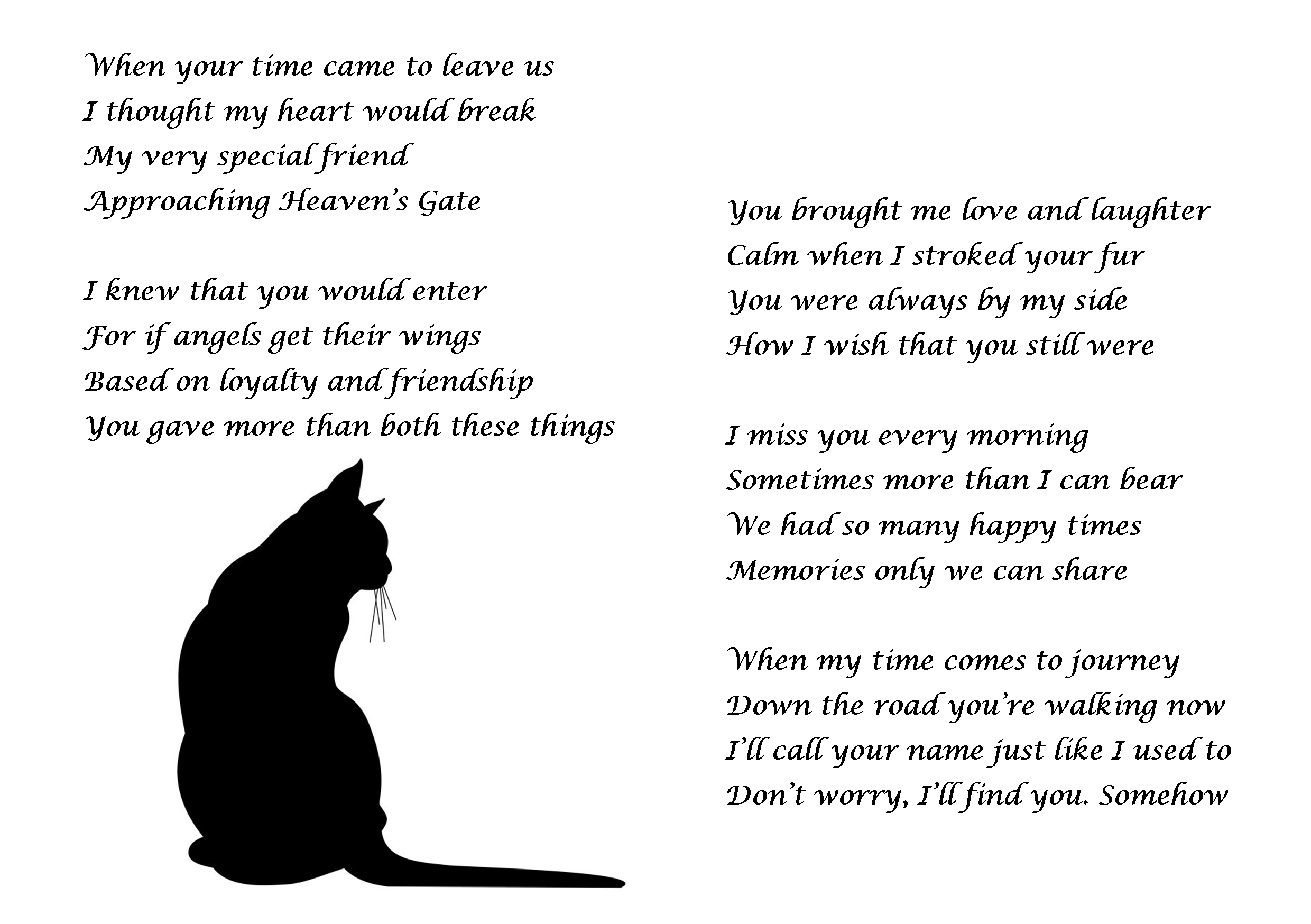Loss of a Cat Sympathy Card