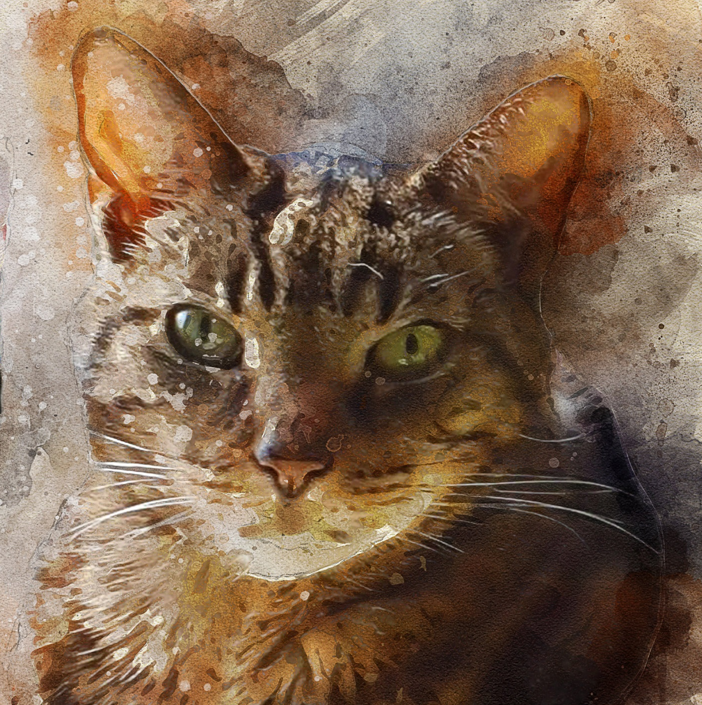 Magical Eyes - Cat Lover Card